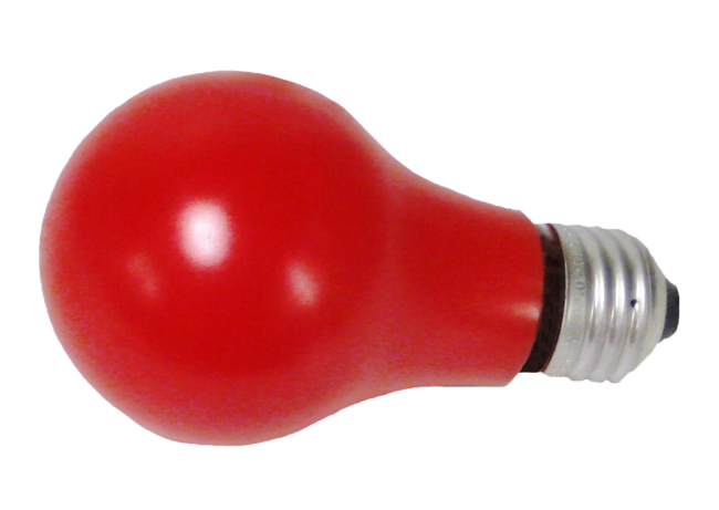 816 Bulb Red 120v