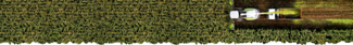 Crude Fiber