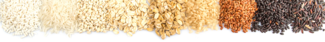 Dietary Fiber Application Header