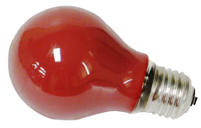 806 Bulb Red 220v