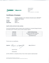 Protease_LOT_240701.pdf