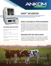 DAISY Information Sheet 