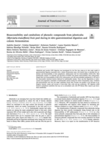 Bioaccessibility and catabolism of phenolic compounds from jaboticaba.pdf