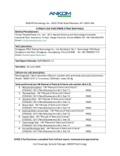 SR-7 UN38.3 Li-Ion Battery Test Summary.pdf